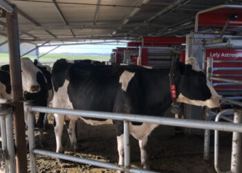 La leche argentina alcanzó en 2020 una notable mejora de su calidad: ¿Cómo y por qué sucedió?