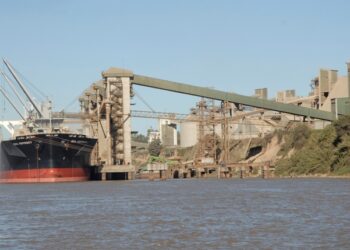 A pesar de todas las complicaciones, el sector agroindustrial argentino logró generar en 2020 divisas por más de 20.000 millones de dólares