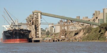 A pesar de todas las complicaciones, el sector agroindustrial argentino logró generar en 2020 divisas por más de 20.000 millones de dólares