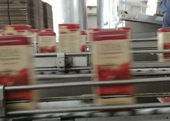 Si el vino sube, viene la vida: Las bodegas también piden salir del programa de precios cuidados