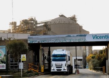 Vicentin SAIC: Productores, acopios y cooperativas quedaron con la mayor parte de la deuda pesificada, mientras que Vicentin Paraguay y Renova recibirán dólares