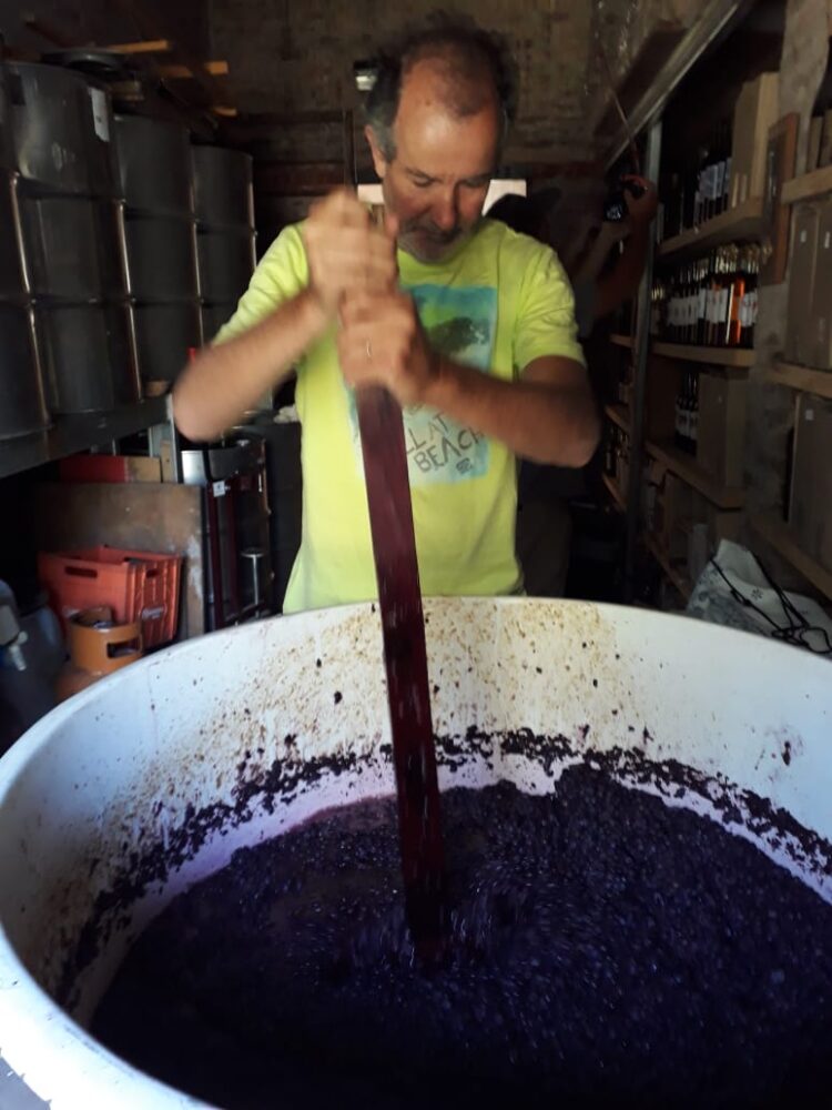 Juntos por un sueño (que se hizo realidad): La bella historia de La Arbolada y de su exclusivo vino de arándanos