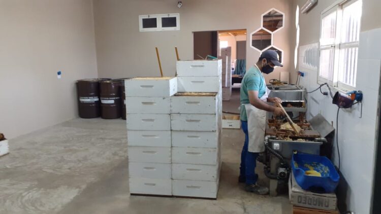 Breve pero intensa historia de un apicultor de San Juan: “Cuanto más conozco a la gente, más amo a las abejas”, nos dice Sergio Fernández