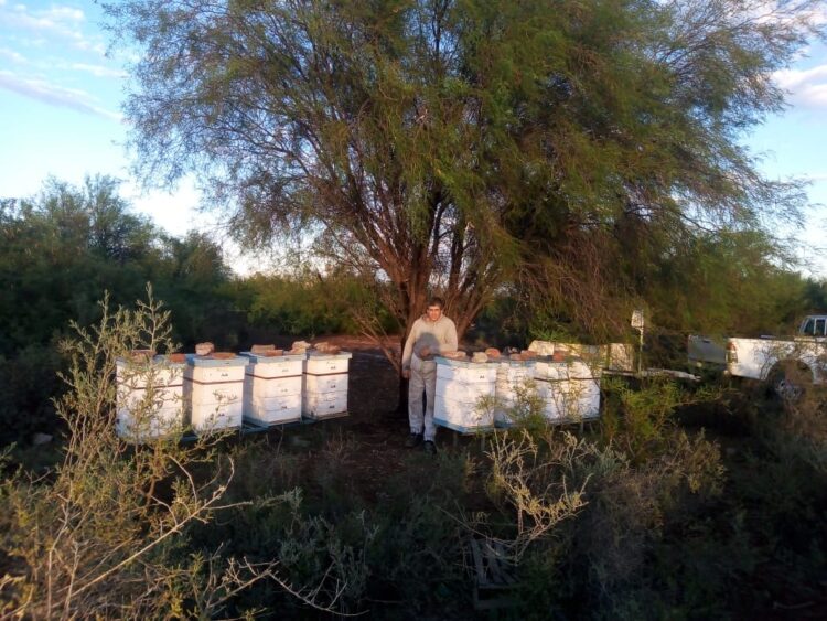Breve pero intensa historia de un apicultor de San Juan: “Cuanto más conozco a la gente, más amo a las abejas”, nos dice Sergio Fernández
