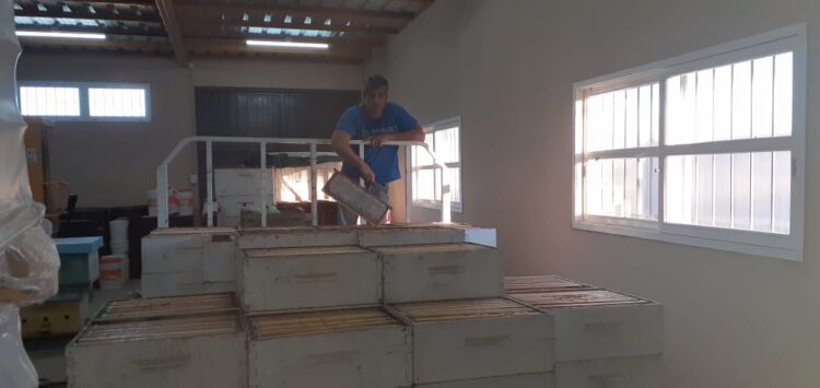 Breve pero intensa historia de un apicultor de San Juan: “Cuanto más conozco a la gente, más amo a las abejas”, nos dice Sergio Fernández