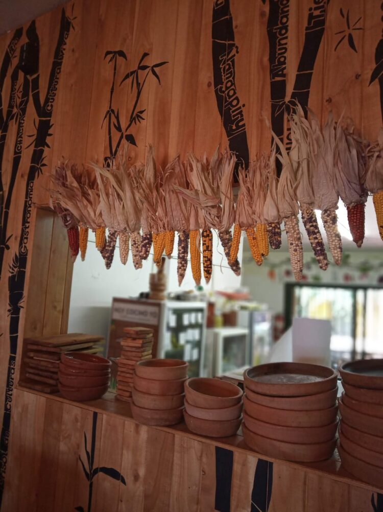 Una historia de amor en guaraní: Saúl y Ángeles cocinan con hongos, hierbas y frutos que recogen de la selva misionera