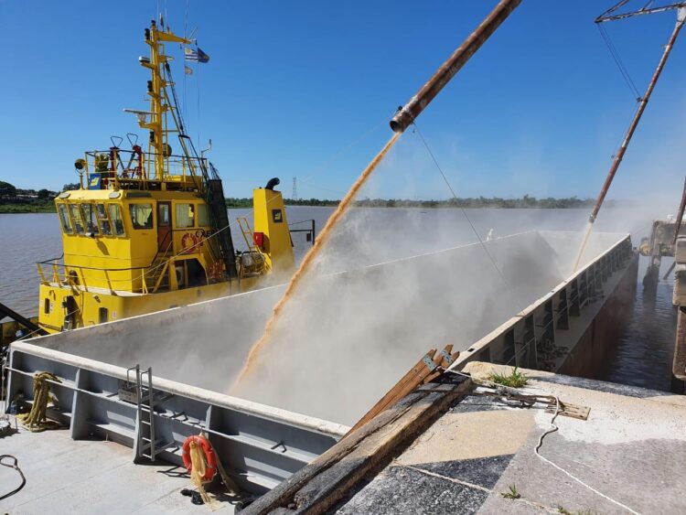 Luego de décadas sin operaciones, lograron reactivar el puerto cerealero de Santa Fe: Ya exportó maíz, sorgo, soja y ahora van por el trigo