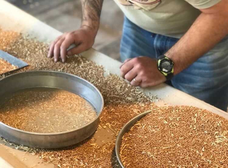 Luego de décadas sin operaciones, lograron reactivar el puerto cerealero de Santa Fe: Ya exportó maíz, sorgo, soja y ahora van por el trigo