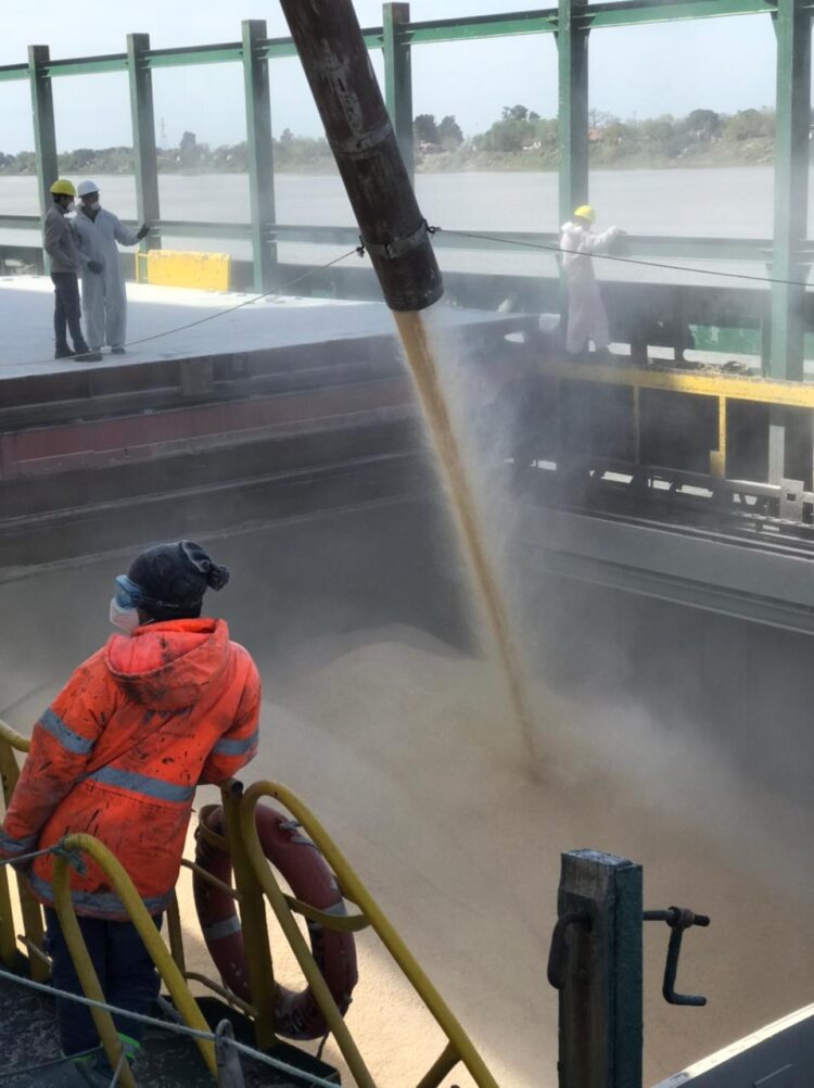 Luego de décadas sin operaciones, lograron reactivar el puerto cerealero de Santa Fe: Ya exportó maíz, sorgo, soja y ahora van por el trigo