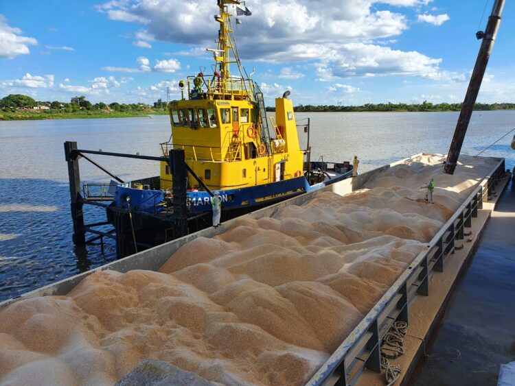 Luego de décadas sin operaciones, lograron reactivar el puerto cerealero de Santa Fe: Ya exportó maíz, sorgo, soja y ahora van por el trigo