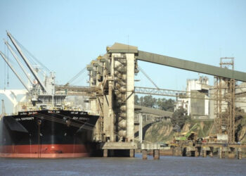 ¿Cuáles fueron las mayores terminales portuarias para la carga de granos en 2020?