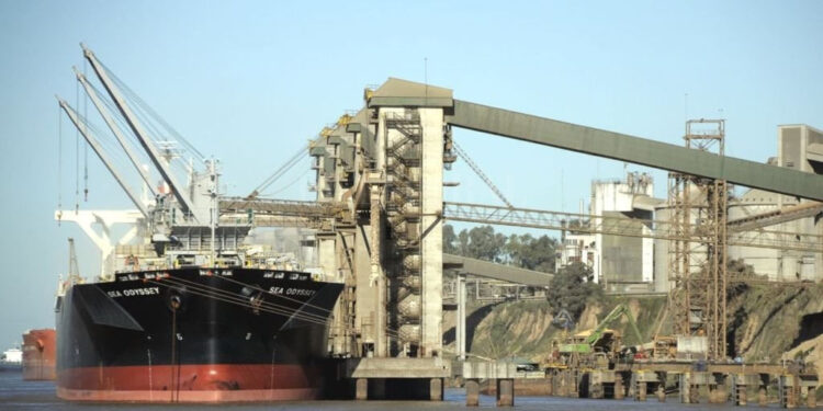 ¿Cuáles fueron las mayores terminales portuarias para la carga de granos en 2020?