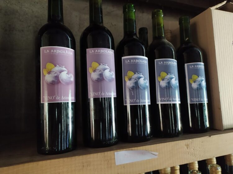 Juntos por un sueño (que se hizo realidad): La bella historia de La Arbolada y de su exclusivo vino de arándanos