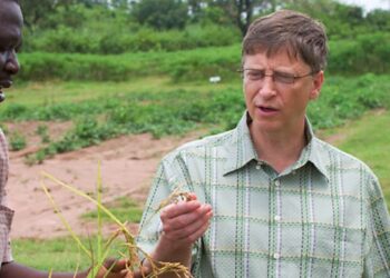 Bill Gates abrió una nueva ventana: Ahora es el mayor propietario de tierras agrícolas de los Estados Unidos