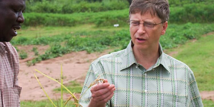 Bill Gates abrió una nueva ventana: Ahora es el mayor propietario de tierras agrícolas de los Estados Unidos