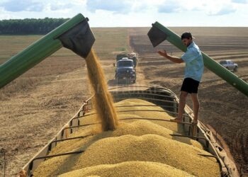 Es falso que el Estado se lleve 1 de cada 3 camiones de soja: Se lleva bastante más que eso