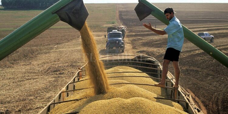 Es falso que el Estado se lleve 1 de cada 3 camiones de soja: Se lleva bastante más que eso