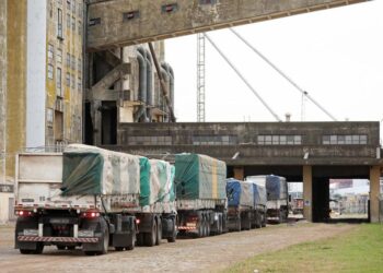 Durante 2020, la Argentina exportó (en barco) el equivalente a 215 camiones cargados de granos por hora