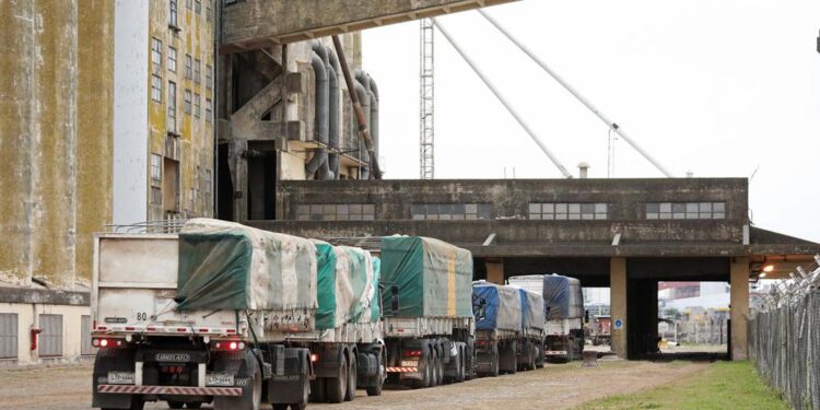 Durante 2020, la Argentina exportó (en barco) el equivalente a 215 camiones cargados de granos por hora