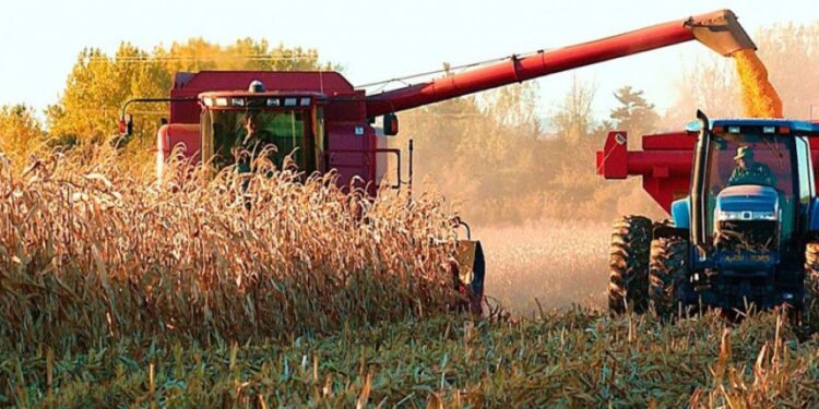 Alberto Morelli, de Maizar, fue lapidario tras el cierre de las exportaciones: “No veo que se vaya a lograr una baja de precios ni ventas importantes de maíz”