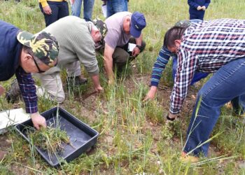 “Manolo, tu hijo está loco”: Una crónica sobre la agricultura regenerativa en España, donde los jóvenes están contagiando a los viejos agricultores