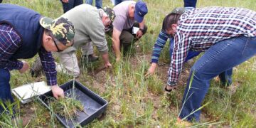 “Manolo, tu hijo está loco”: Una crónica sobre la agricultura regenerativa en España, donde los jóvenes están contagiando a los viejos agricultores