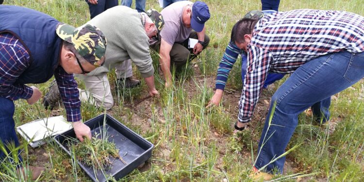 “Manolo, tu hijo está loco”: Una crónica sobre la agricultura regenerativa en España, donde los jóvenes están contagiando a los viejos agricultores