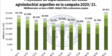 ¿Dios era albertista? La cosecha caería 9% en volumen, pero por la suba de los precios el ingreso de divisas podría ser récord en 2021