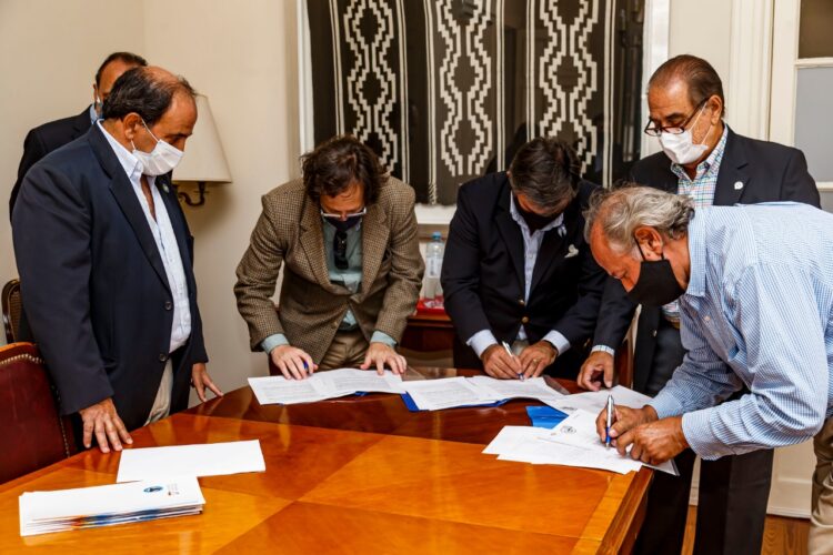 ¡Y Olé! La Sociedad Rural Argentina llevará adelante los registros genealógicos de los Angus españoles