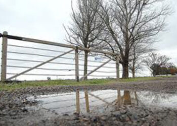 Llueve, llueve, llueve… Y el campo no se mueve: La Mesa de Enlace ratificó la continuidad del paro