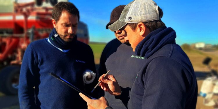 La familia Torresi fue pionera en el desarrollo agrícola del este santiagueño: Ahora logró el girasol “primicia”