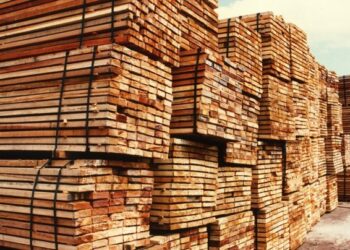 Al final el sector forestal no tiene mucho que festejar: La reducción de aranceles en China no impacta sobre los productos que más se exportan