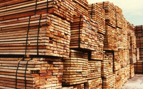 Al final el sector forestal no tiene mucho que festejar: La reducción de aranceles en China no impacta sobre los productos que más se exportan