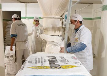 Los molinos de trigo van por el blanqueo total: “No hay industria sólida y con futuro que trabaje en el oscurantismo”, afirmó el presidente de FAIM