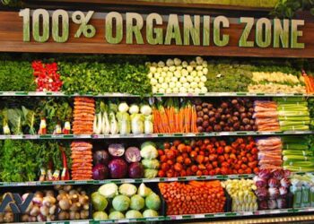 La Argentina no quiere perderse el tren de la agricultura orgánica y lanzó un plan para duplicar la producción certificada en 2030