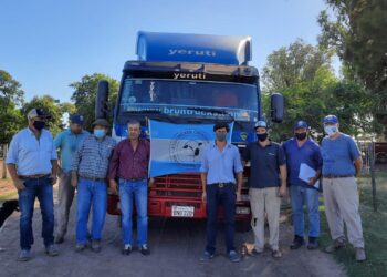 ¿Se puede producir ovinos en medio de un mar de soja? Seis cabañas argentinas lo hacen y además exportaron su genética a Paraguay