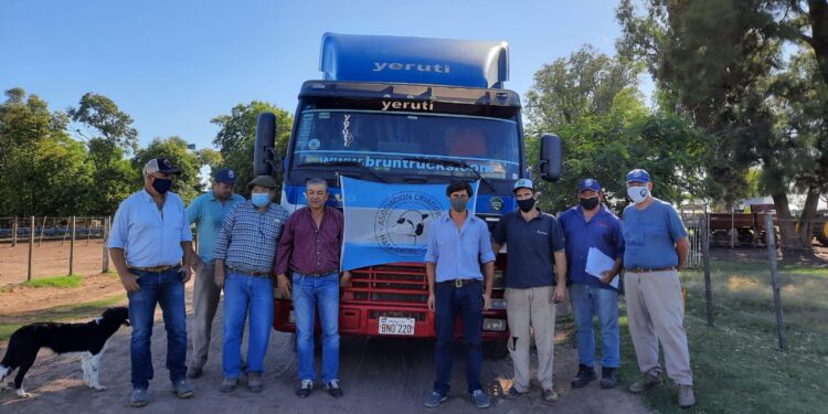 ¿Se puede producir ovinos en medio de un mar de soja? Seis cabañas argentinas lo hacen y además exportaron su genética a Paraguay