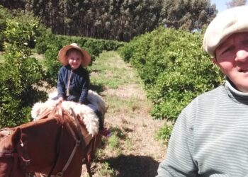 Desde Federación, Victor Hugo Pezzellato celebró la recuperación citrícola en 2020: “Veníamos perdiendo hectáreas y productores porque la rentabilidad no era buena”