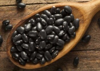 Cuando el Covid sumó un poroto: Los productores de legumbres celebraron uno de sus mejores años en medio de la pandemia