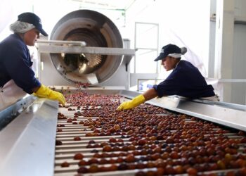 En San Rafael elogian el desempeño de “La Pulpera” como herramienta para defender los ingresos de los productores de frutas