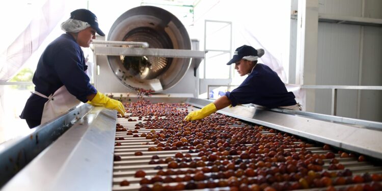 En San Rafael elogian el desempeño de “La Pulpera” como herramienta para defender los ingresos de los productores de frutas