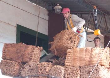 Debutó con bríos el nuevo sistema de warrant electrónico: Se certificó mercadería por casi 10 mil millones de pesos