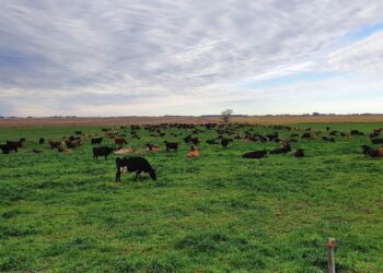 Tamberos bonaerenses piden no castigar las exportaciones lácteas: “En breve esas políticas producirán escasez e incremento de precios”