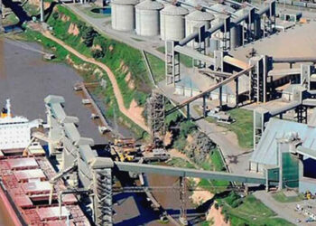 Suspendida por no liquidar divisas, Díaz & Forti intentó seguir operando las plantas aceiteras de Vicentin mediante una firma vinculada