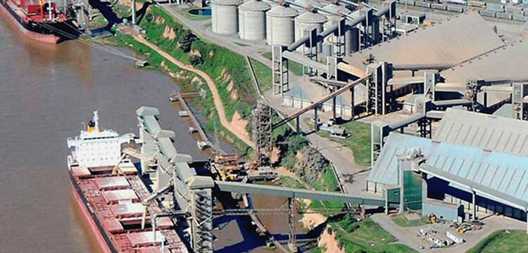 Suspendida por no liquidar divisas, Díaz & Forti intentó seguir operando las plantas aceiteras de Vicentin mediante una firma vinculada