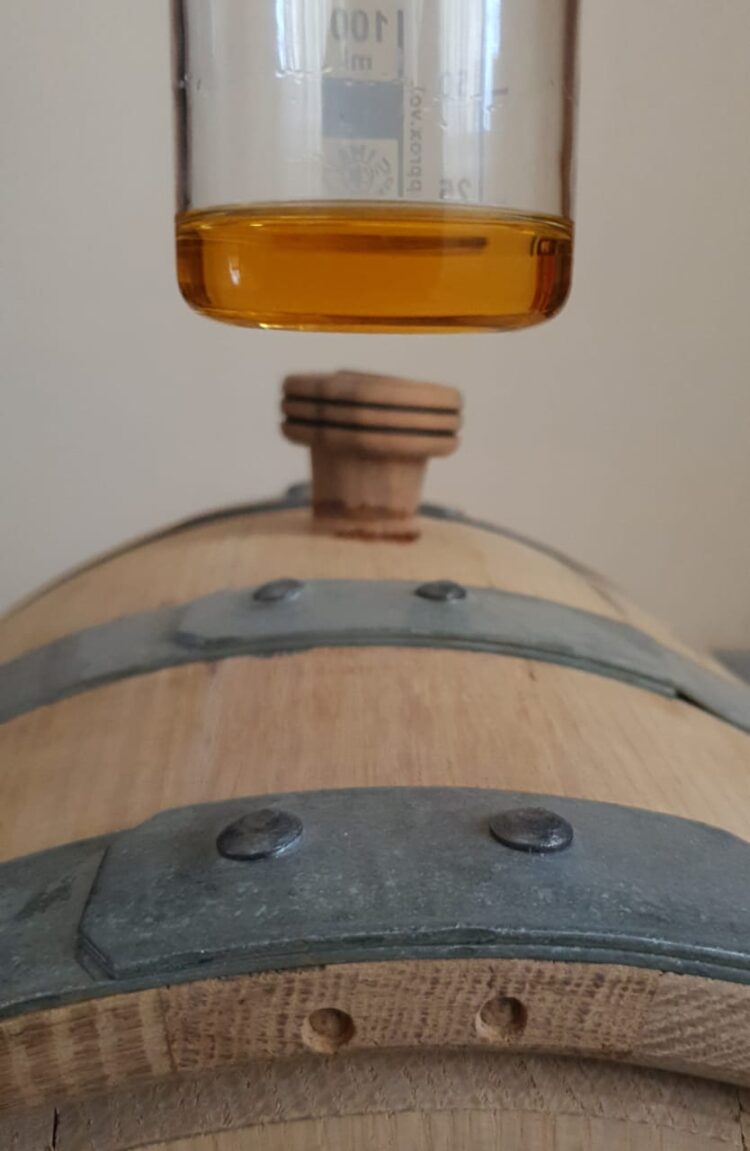 Nadia y Cristian pensaron que ya había demasiadas cervezas: Entonces comenzaron a elaborar el primer whisky del Alto Valle