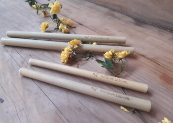 Qué buena idea: Investigaron las propiedades del bambú y crearon sorbetes ecológicos para reducir los deshechos plásticos