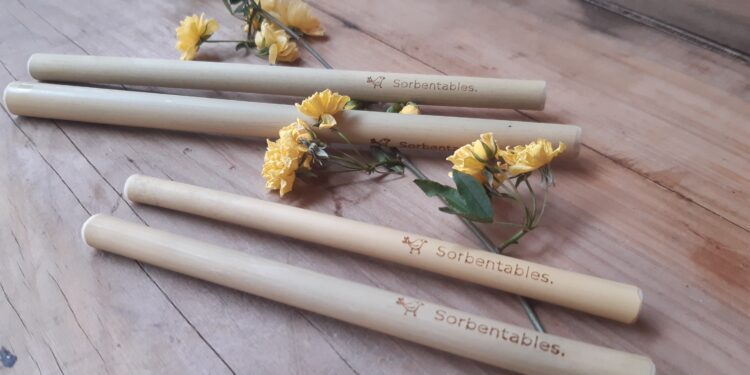 Qué buena idea: Investigaron las propiedades del bambú y crearon sorbetes ecológicos para reducir los deshechos plásticos