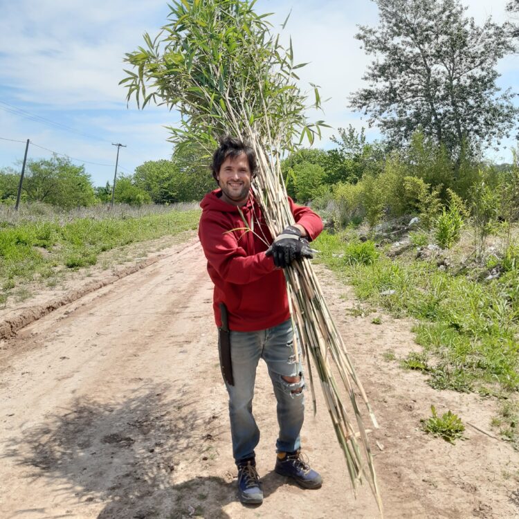 Qué buena idea: Investigaron las propiedades del bambú y crearon sorbetes ecológicos para reducir los deshechos plásticos