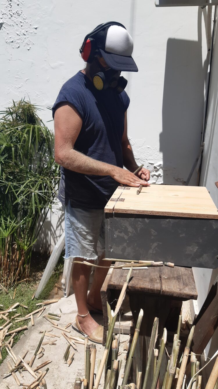 Qué buena idea: Investigaron las propiedades del bambú y crearon sorbetes ecológicos para reducir los deshechos plásticos